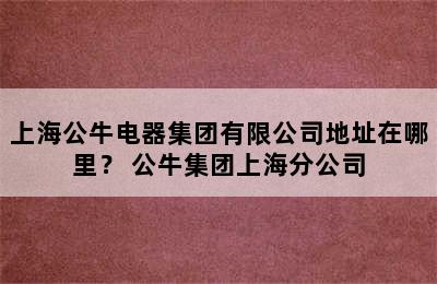 上海公牛电器集团有限公司地址在哪里？ 公牛集团上海分公司